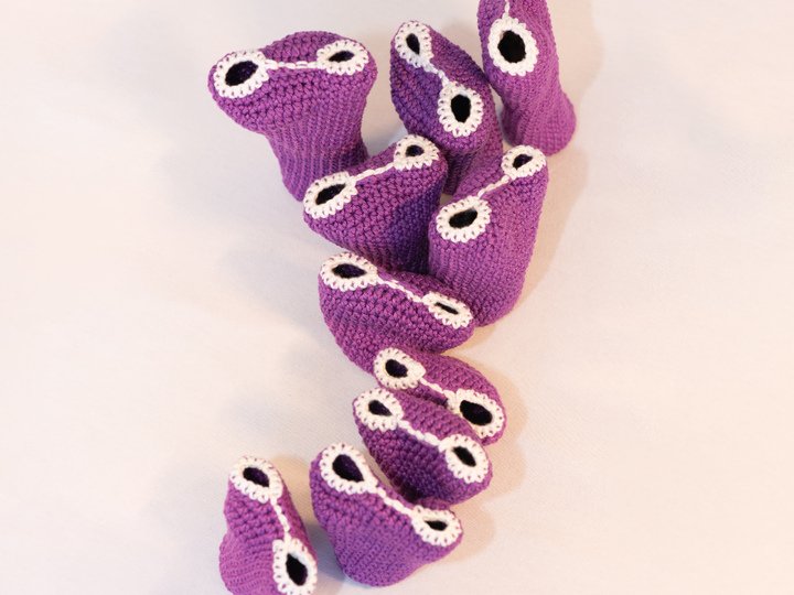 Crochet Pattern, Corals, Sea Squirts Colony