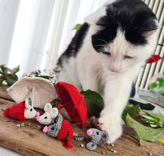 Mäusebande - mit Schal und Popomütze - Katzenspielzeug