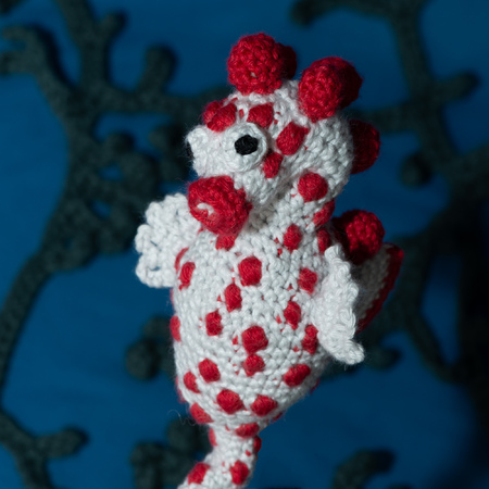Crochet Pattern Amigurumi Pygmy Seahorse