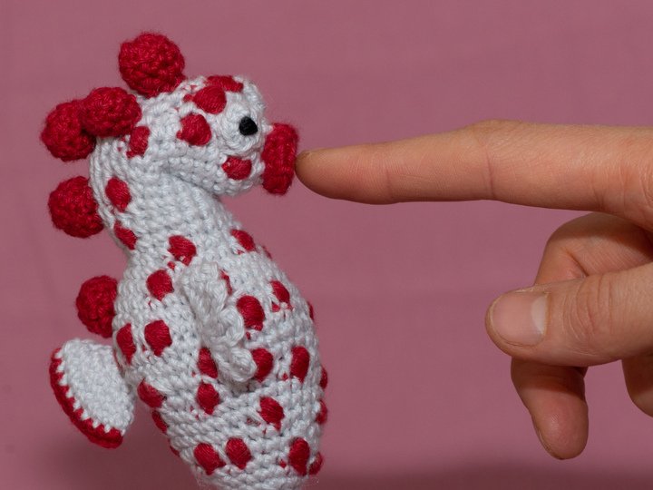 Häkelanleitung für das Amigurumi Zwergseepferdchen