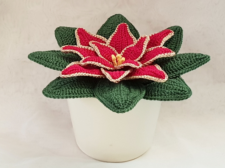 Weihnachtsstern Häkelanleitung