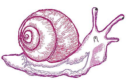 Scribble Kritzel Schnecke Stickdatei Doodle