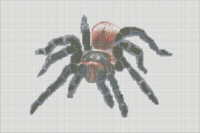 Spider tarantula cross stitch pattern