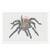 Spider tarantula cross stitch pattern