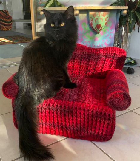 HAUSTIER-& PUPPENSOFA " EXTRAVAGANZA"