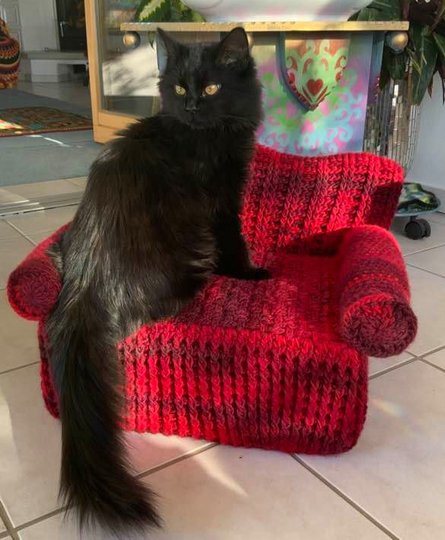 HAUSTIER-& PUPPENSOFA " EXTRAVAGANZA"