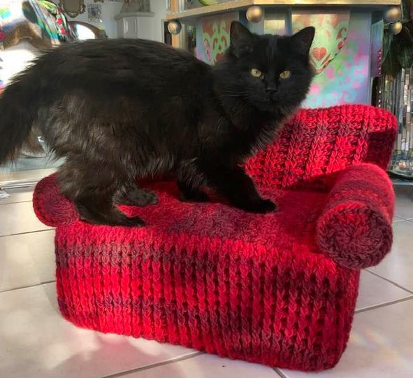 HAUSTIER-& PUPPENSOFA " EXTRAVAGANZA"