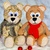 cuddling bear - crochet patterns