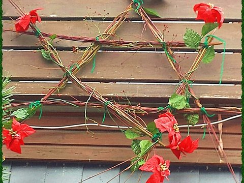 Anleitung Landladys Adventskalender Nr. 6: Stern aus Zweigen