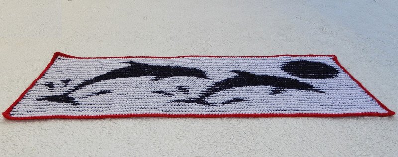 Delfine Illusionsstricken