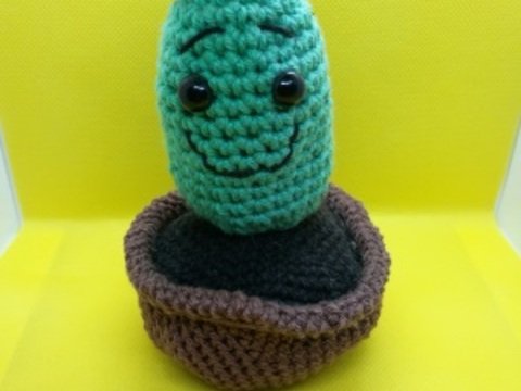 Anleitung Kalle Kaktus