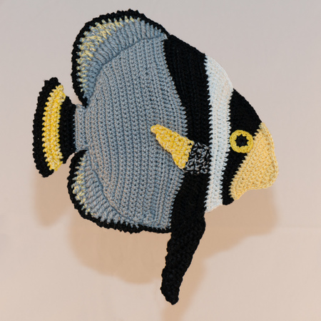 Crochet Pattern Pattern for Fluso the Batfish