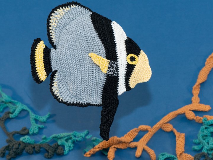 Häkelanleitung für Fluso der Fledermausfisch