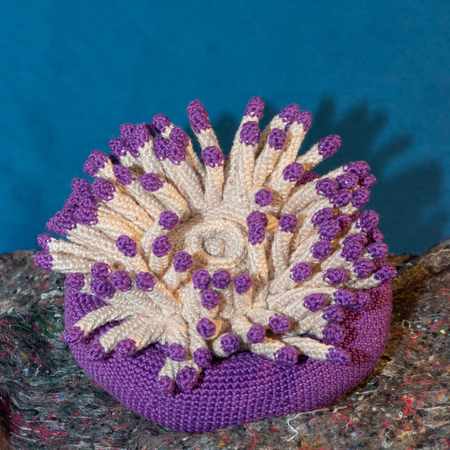 Crochet Pattern Sea Anemone