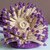 Crochet Pattern Sea Anemone