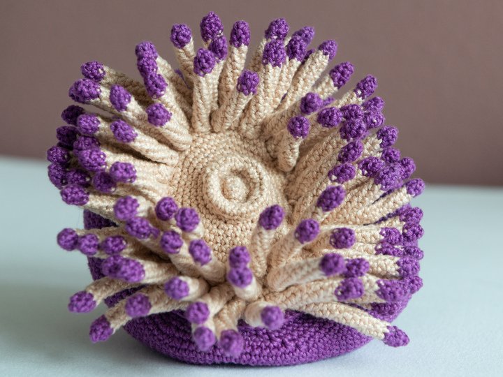 Häkelanleitung für Anna die Anemone