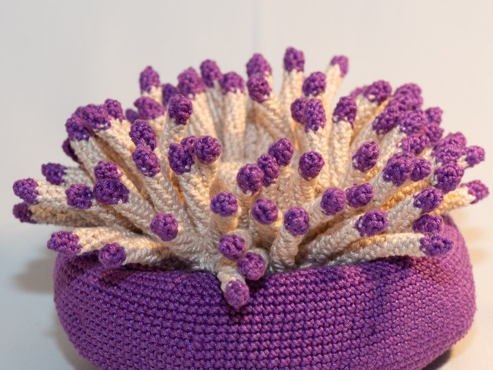 Häkelanleitung für Anna die Anemone