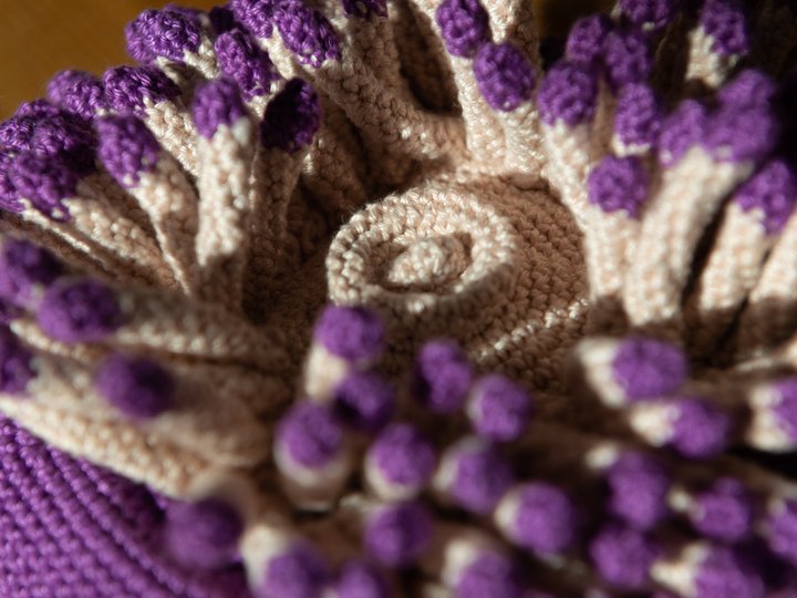 Häkelanleitung für Anna die Anemone