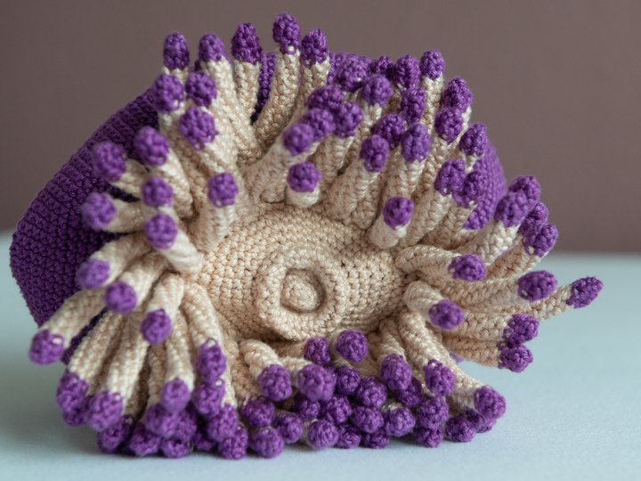 Häkelanleitung für Anna die Anemone