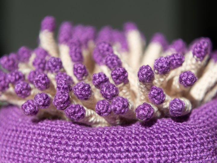 Häkelanleitung für Anna die Anemone