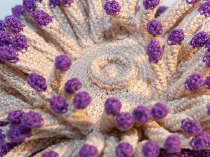 Häkelanleitung für Anna die Anemone