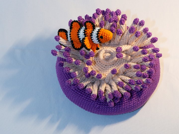 Häkelanleitung für Clownfisch mit Seeanemone