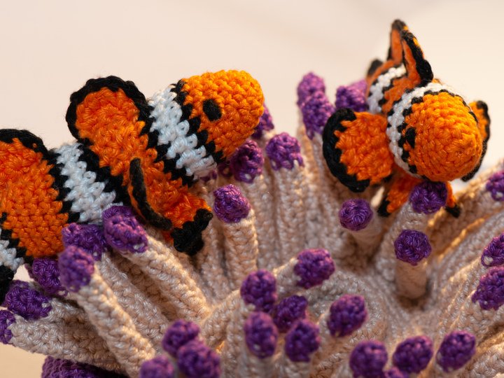 Häkelanleitung für Clownfisch mit Seeanemone