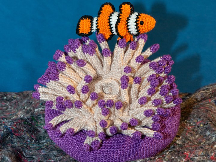 Häkelanleitung für Clownfisch mit Seeanemone