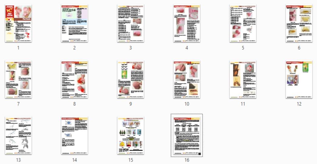 040DE Häkelanleitung Amigurumi Pferd Glascha - PDF Pertseva CP