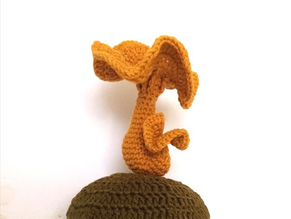 Mushrooms. Crochet pattern