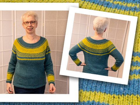Hier geht's rund: Pullover mit Rundpasse