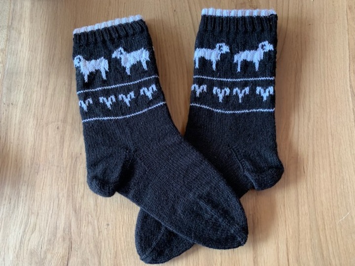 Sternzeichen Socken - Der Widder