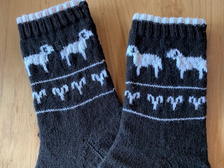 Sternzeichen Socken - Der Widder
