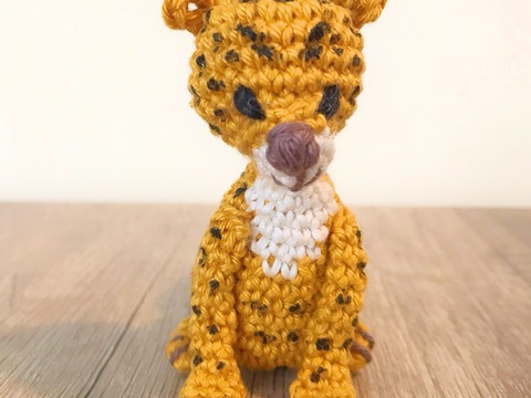 Baby Leopard
