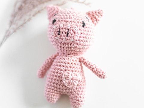 Anleitung Fridolin das Schweinchen