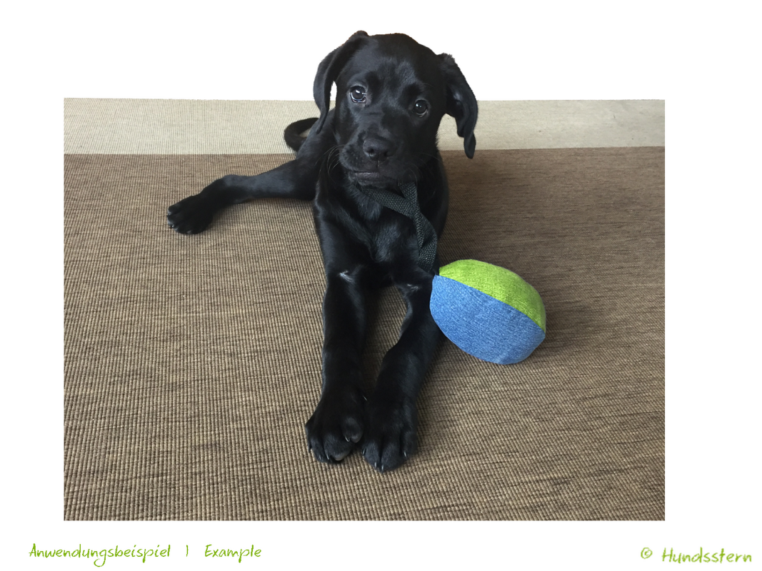 SPEIK Ball and Rugby Ball, each in 2 sizes. Sewing pattern - Image 13