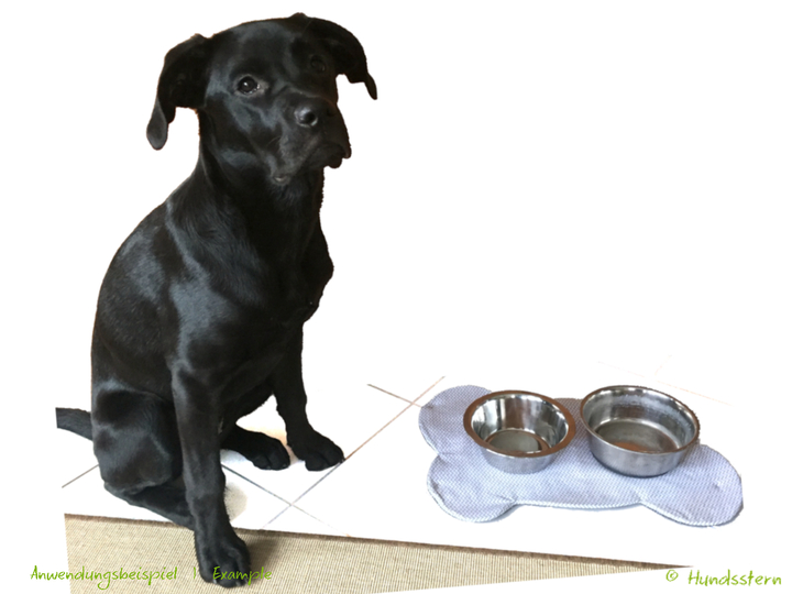 Yummy non-slip bowl mat for dogs. Sewing pattern
