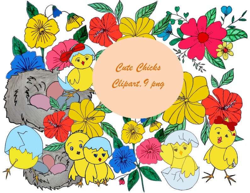 Cute chickens clipart, 9 format PNG, chickens clipart