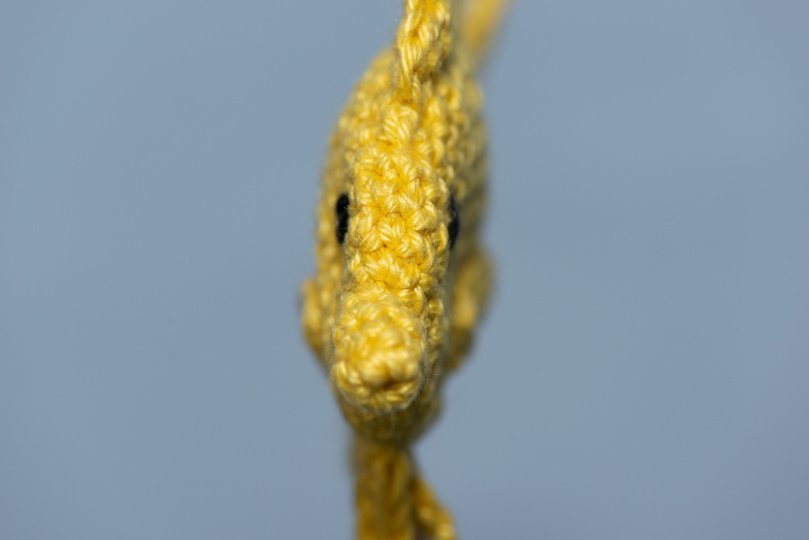 Häkelanleitung für einen Zitronendoktorfisch