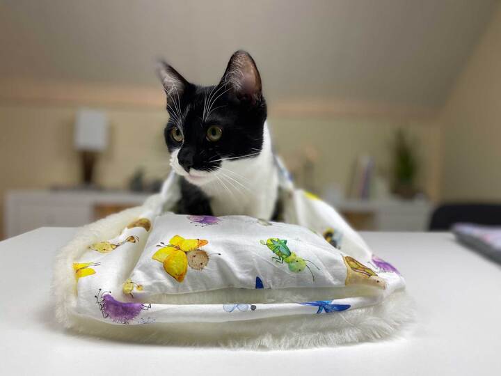Nähanleitung Katzenschlafsack nähen, Hundeschlafsack, Kinderschlafsack