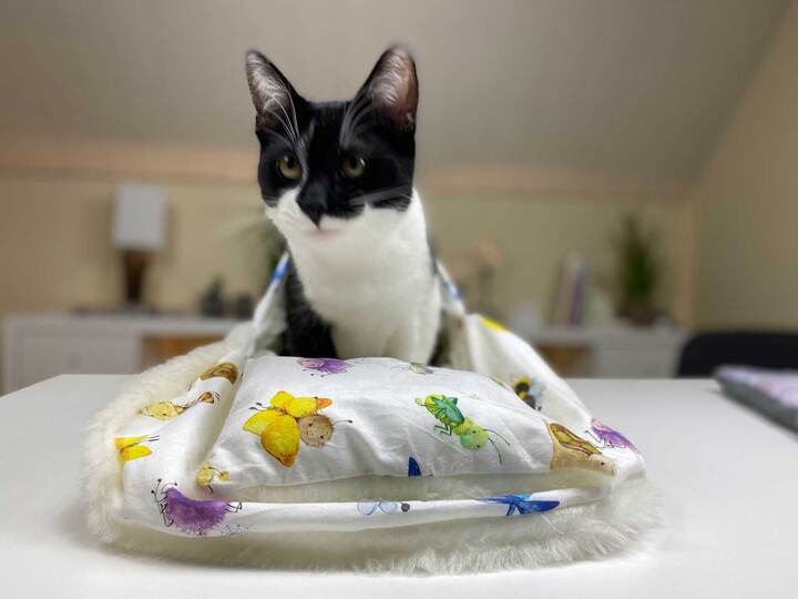 Nähanleitung Katzenschlafsack nähen, Hundeschlafsack, Kinderschlafsack