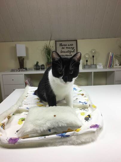 Nähanleitung Katzenschlafsack nähen, Hundeschlafsack, Kinderschlafsack