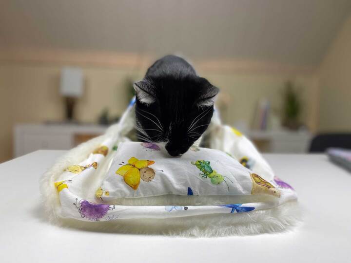 Nähanleitung Katzenschlafsack nähen, Hundeschlafsack, Kinderschlafsack