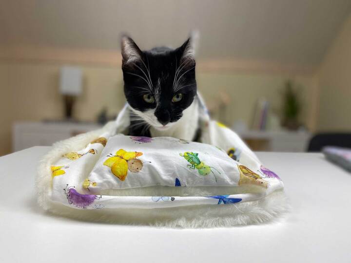 Nähanleitung Katzenschlafsack nähen, Hundeschlafsack, Kinderschlafsack