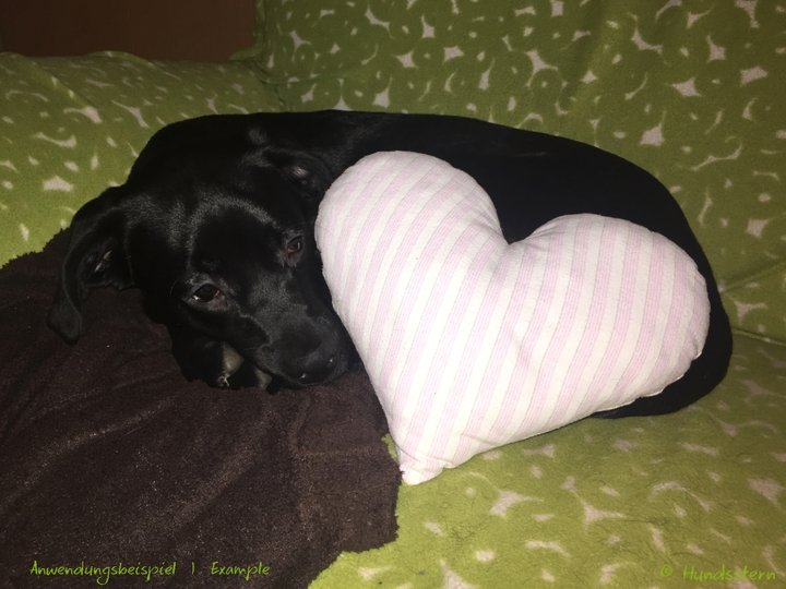 HEART pillow, cushion, toy in 3 sizes. Sewing Pattern