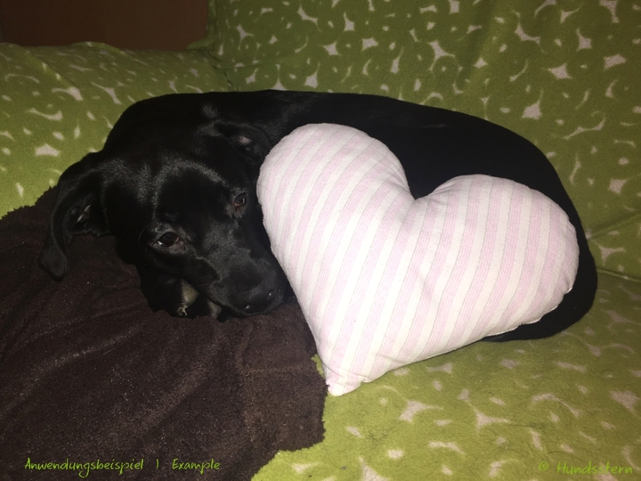 HEART pillow, cushion, toy in 3 sizes. Sewing Pattern