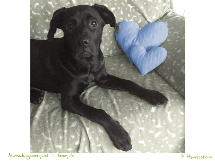 HEART pillow, cushion, toy in 3 sizes. Sewing Pattern