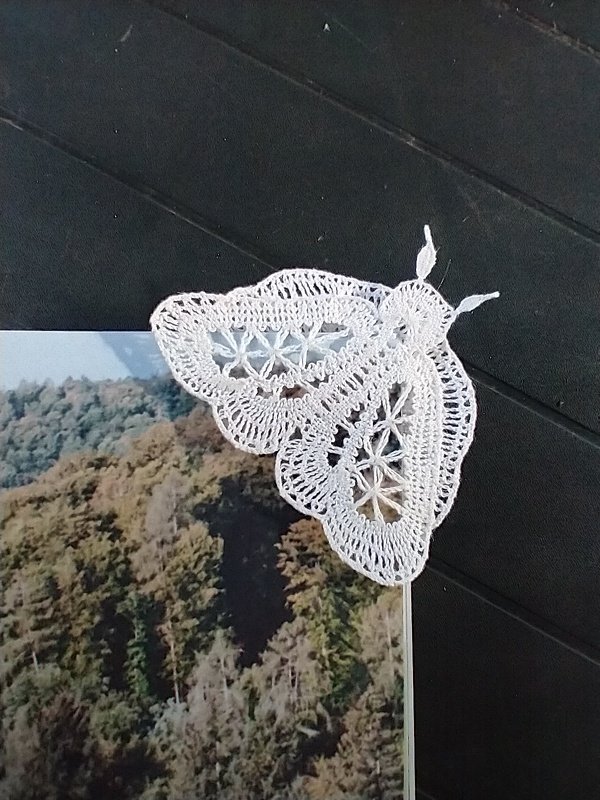 Weiß gehäkelter Schmetterling an der Ecke einer Fotoseite