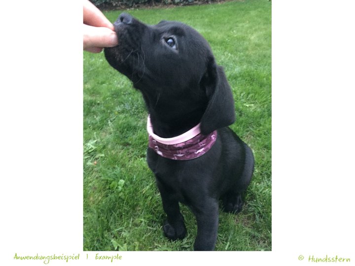 KIRA infinity scarf, made-to-measure, Sewing Tutorial