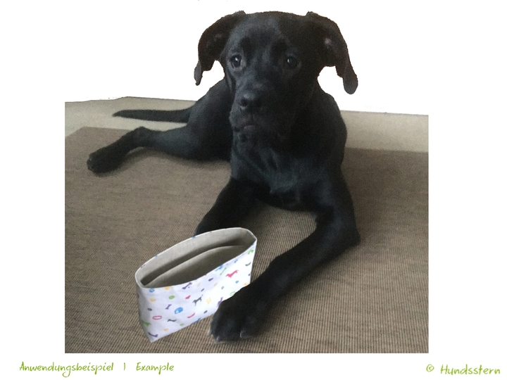 VERRA Tascheneinsatz Leckerli, gefüttert, 2 Fächer. Nähanleitung+Schnitt